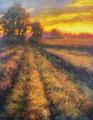 Harvest Glow by Michael Orwick