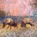 Elk Rut - Embellished Giclee by Iris Scott